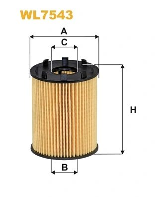 Oil Filter